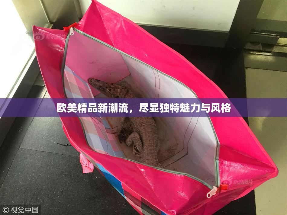 欧美精品新潮流，尽显独特魅力与风格