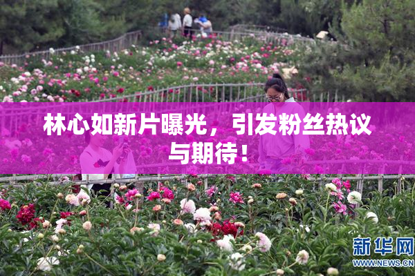 林心如新片曝光，引发粉丝热议与期待！