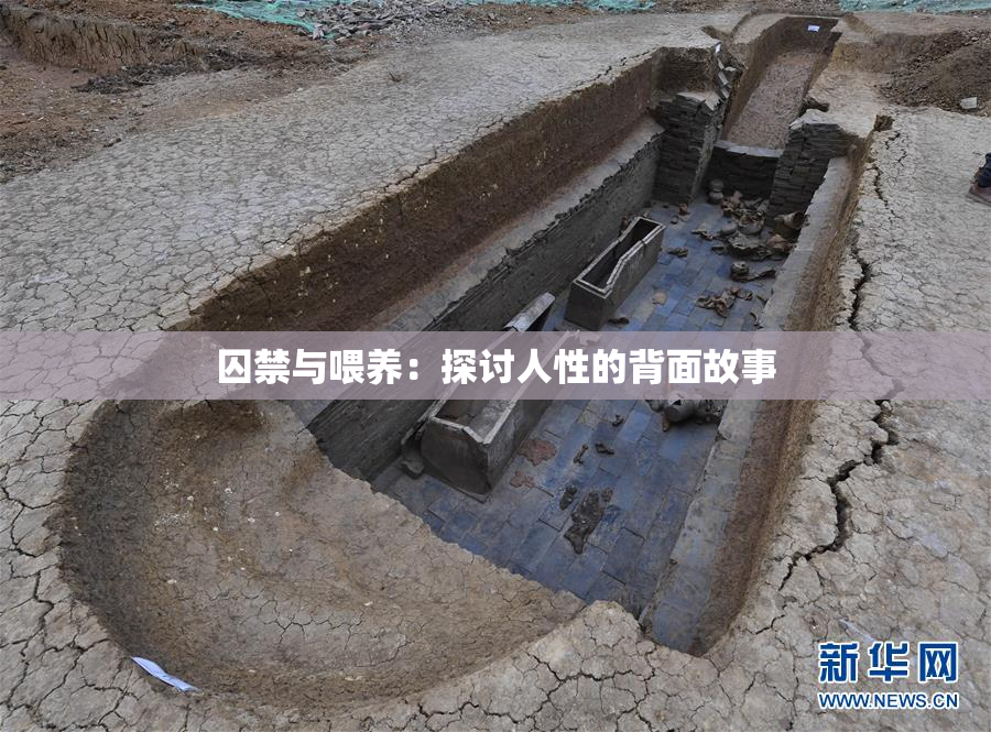 囚禁与喂养：探讨人性的背面故事