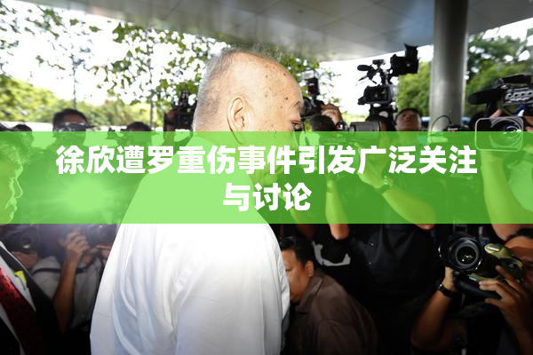 徐欣遭罗重伤事件引发广泛关注与讨论