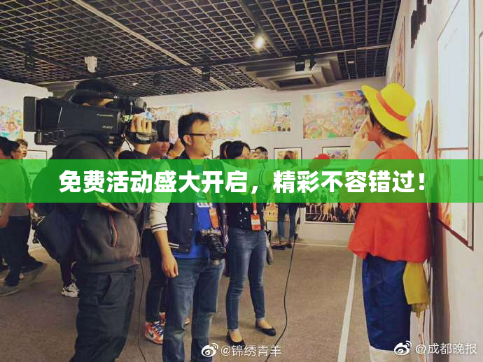 免费活动盛大开启，精彩不容错过！