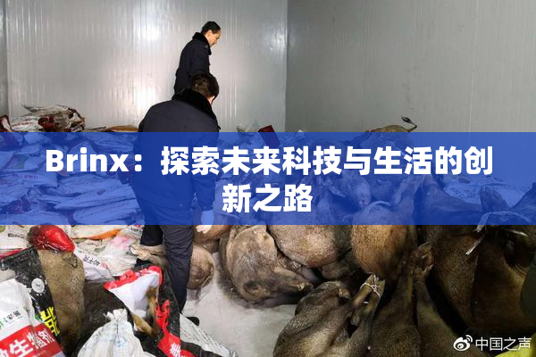 Brinx：探索未来科技与生活的创新之路