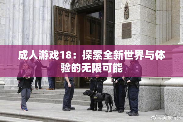 成人游戏18：探索全新世界与体验的无限可能