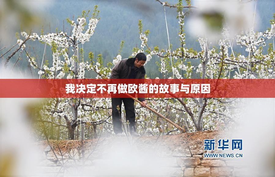 我决定不再做欧酱的故事与原因
