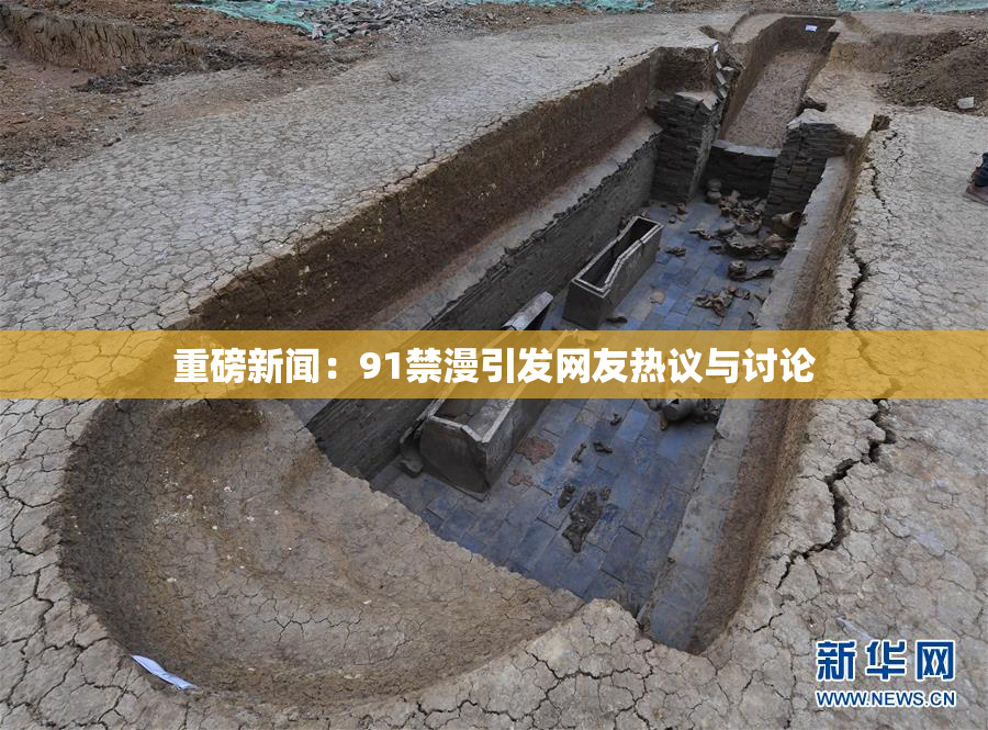 重磅新闻：91禁漫引发网友热议与讨论