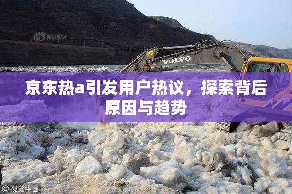 京东热a引发用户热议，探索背后原因与趋势