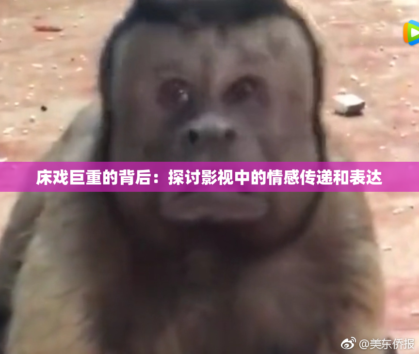 床戏巨重的背后：探讨影视中的情感传递和表达