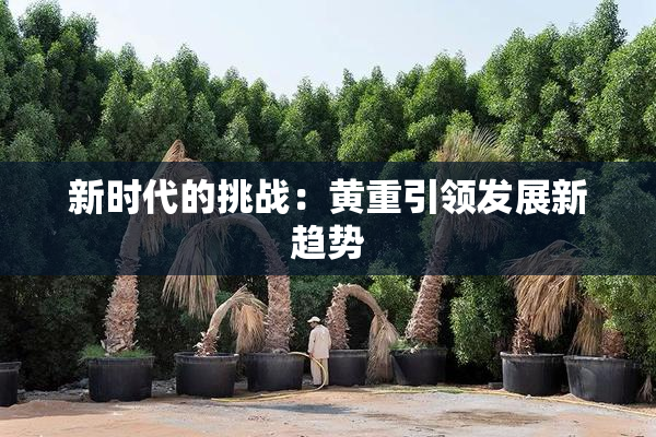 新时代的挑战：黄重引领发展新趋势