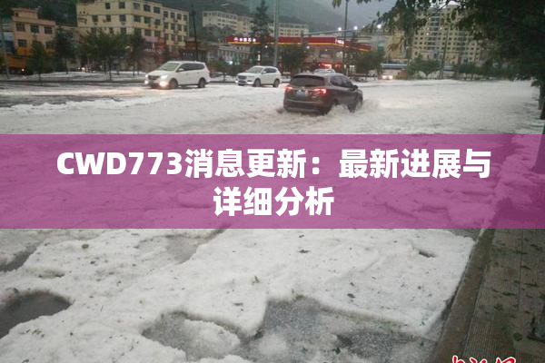 CWD773消息更新：最新进展与详细分析