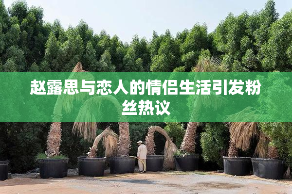 赵露思与恋人的情侣生活引发粉丝热议