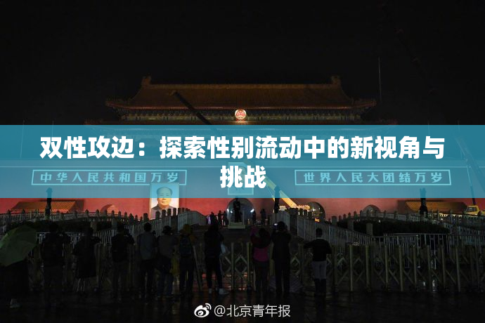 双性攻边：探索性别流动中的新视角与挑战