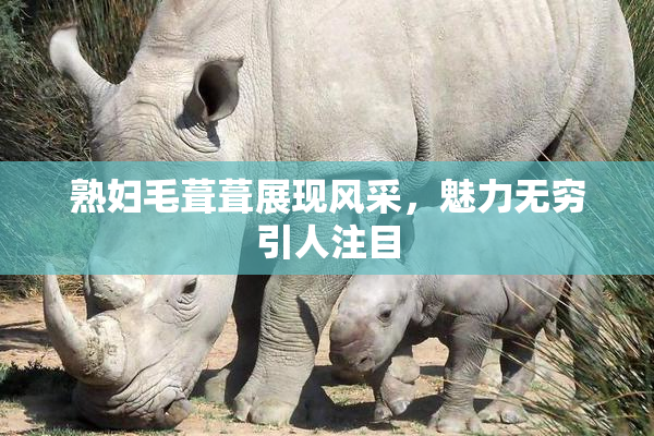 熟妇毛葺葺展现风采，魅力无穷引人注目