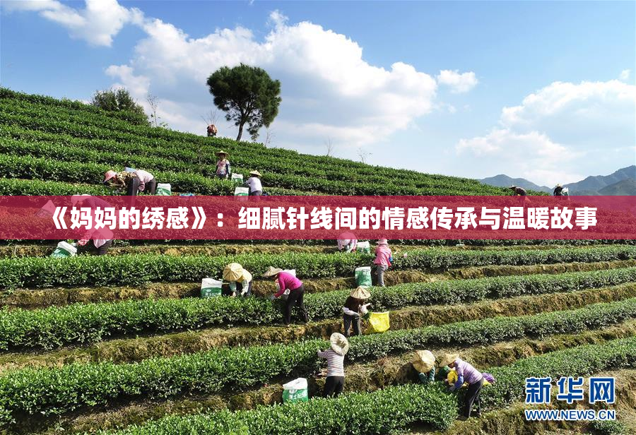 《妈妈的绣感》：细腻针线间的情感传承与温暖故事