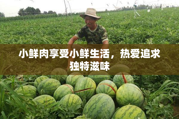 小鲜肉享受小鲜生活，热爱追求独特滋味