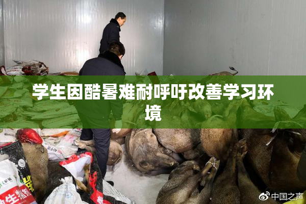 学生因酷暑难耐呼吁改善学习环境