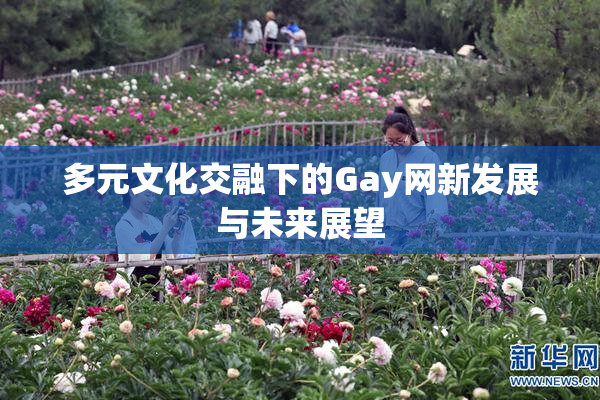 多元文化交融下的Gay网新发展与未来展望