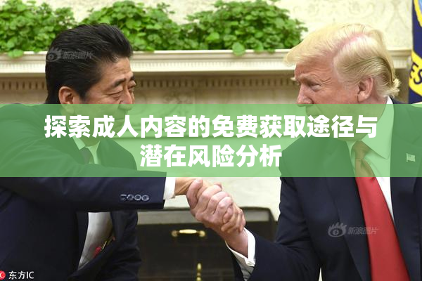 探索成人内容的免费获取途径与潜在风险分析