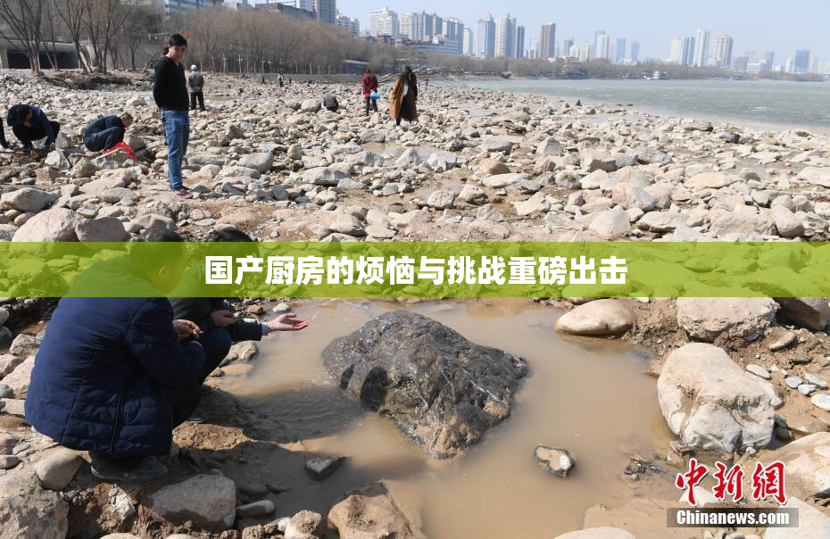 国产厨房的烦恼与挑战重磅出击