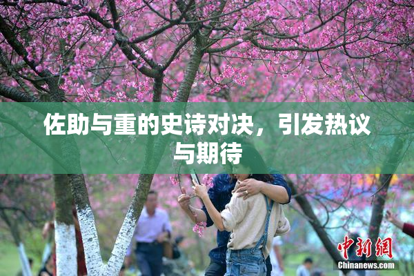 佐助与重的史诗对决，引发热议与期待