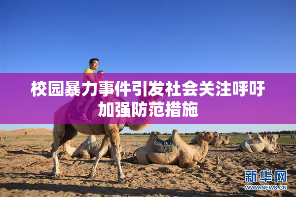 校园暴力事件引发社会关注呼吁加强防范措施