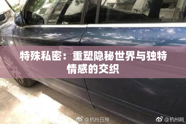 特殊私密：重塑隐秘世界与独特情感的交织