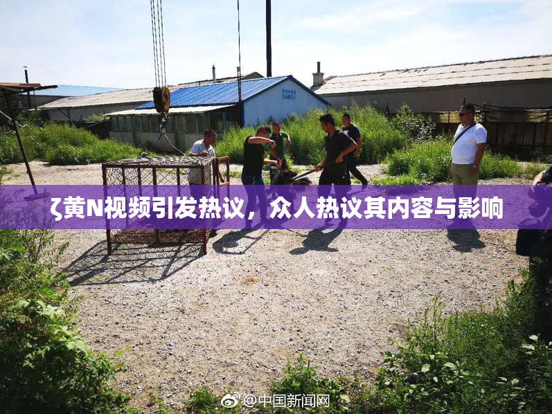 ζ黄Ν视频引发热议，众人热议其内容与影响
