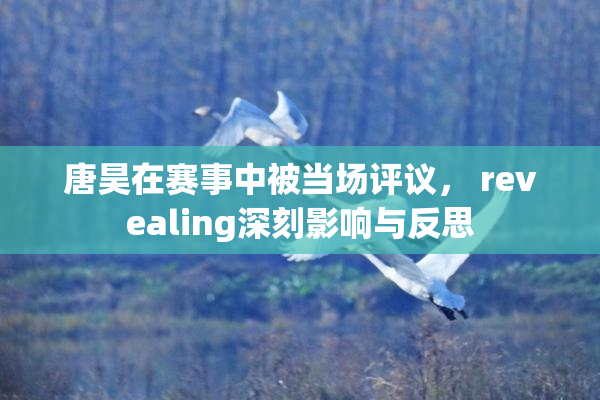 唐昊在赛事中被当场评议， revealing深刻影响与反思