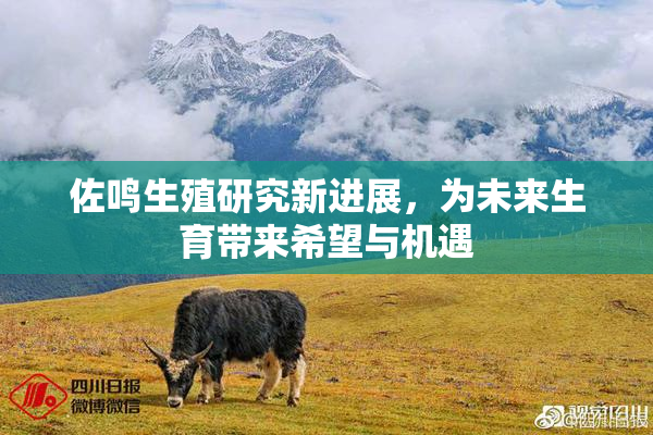 佐鸣生殖研究新进展，为未来生育带来希望与机遇