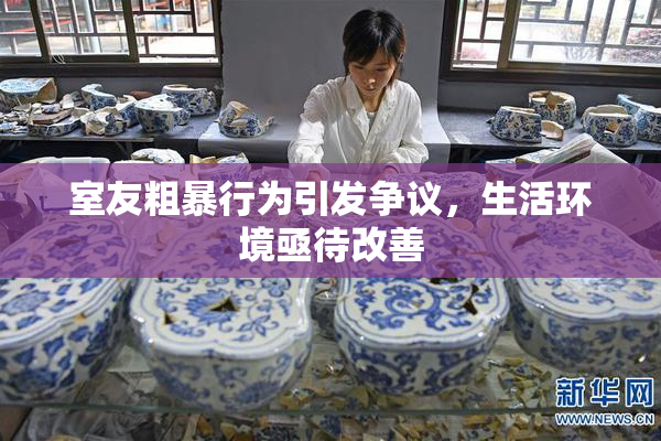 室友粗暴行为引发争议，生活环境亟待改善
