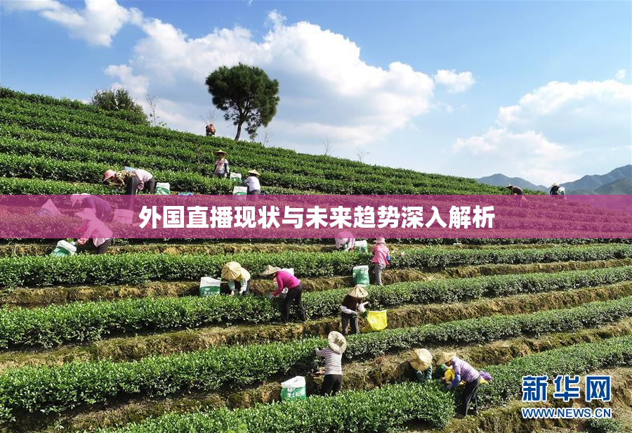 外国直播现状与未来趋势深入解析