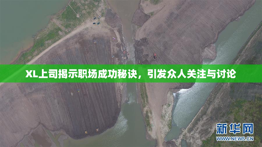 XL上司揭示职场成功秘诀，引发众人关注与讨论