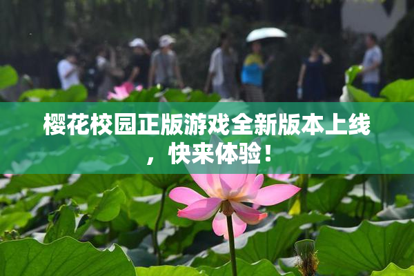 樱花校园正版游戏全新版本上线，快来体验！