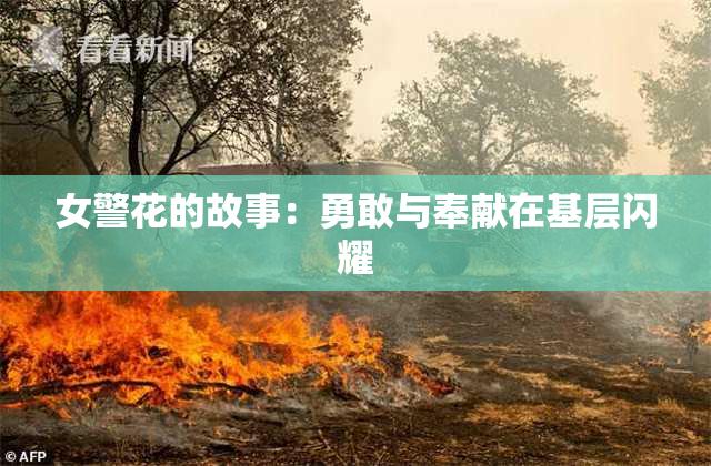 女警花的故事：勇敢与奉献在基层闪耀