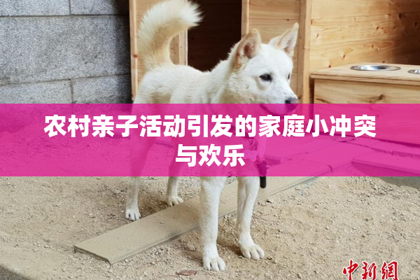 农村亲子活动引发的家庭小冲突与欢乐