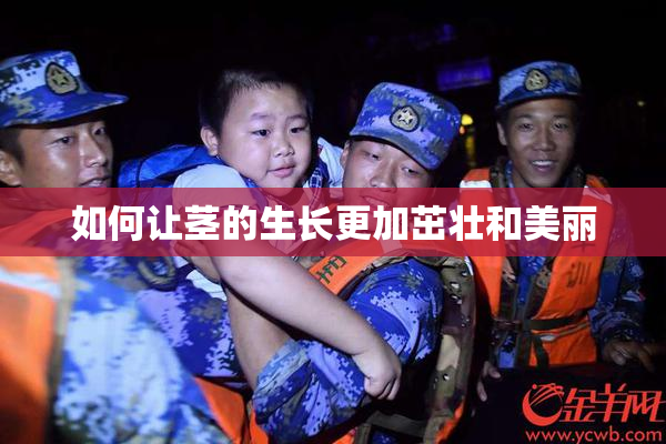 如何让茎的生长更加茁壮和美丽