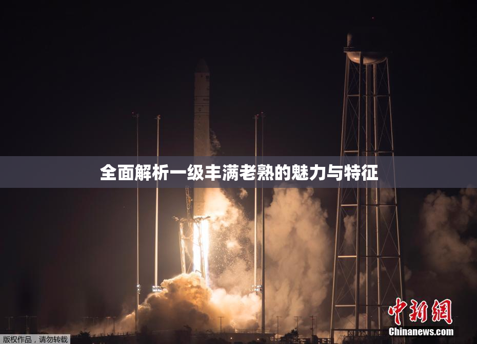 全面解析一级丰满老熟的魅力与特征