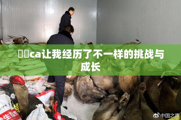 妺妺ca让我经历了不一样的挑战与成长