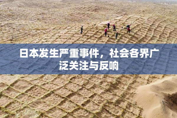 日本发生严重事件，社会各界广泛关注与反响