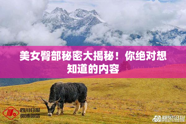 美女臀部秘密大揭秘！你绝对想知道的内容