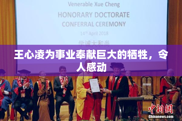 王心凌为事业奉献巨大的牺牲，令人感动