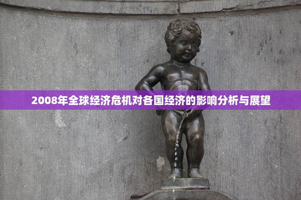2008年全球经济危机对各国经济的影响分析与展望