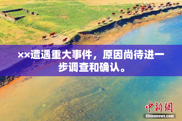 ××遭遇重大事件，原因尚待进一步调查和确认。