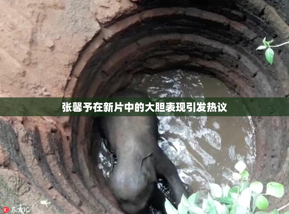 张馨予在新片中的大胆表现引发热议