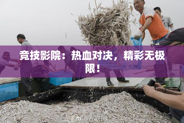 竞技影院：热血对决，精彩无极限！