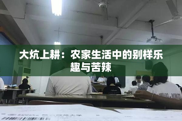 大炕上耕：农家生活中的别样乐趣与苦辣