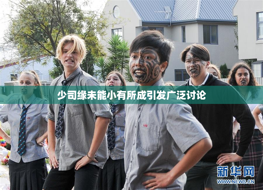 少司缘未能小有所成引发广泛讨论