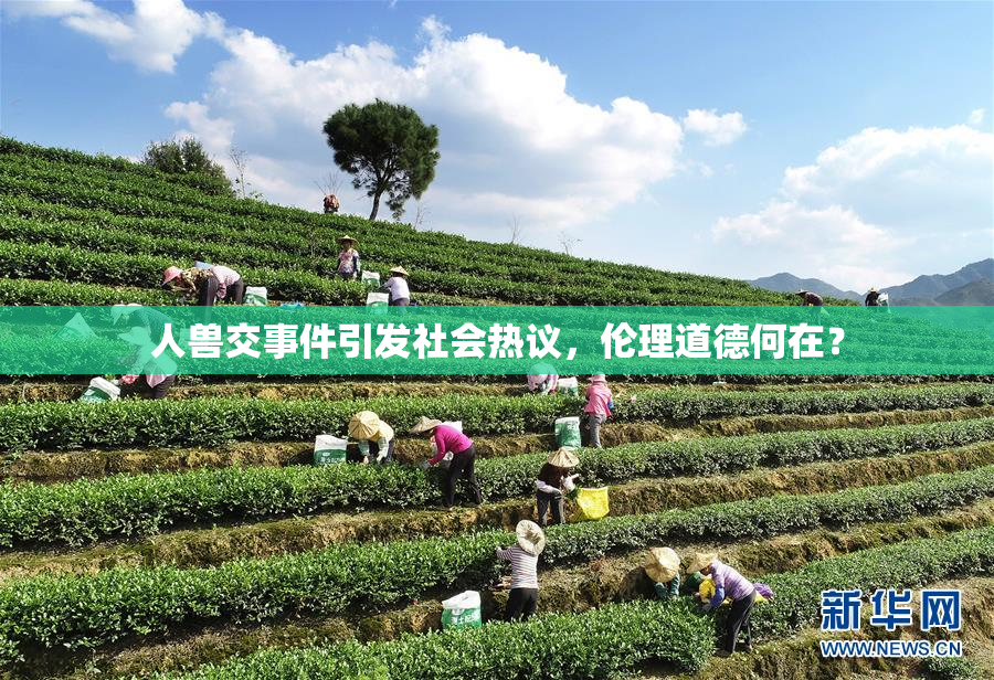 人兽交事件引发社会热议，伦理道德何在？