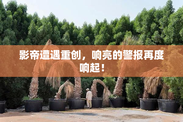影帝遭遇重创，响亮的警报再度响起！