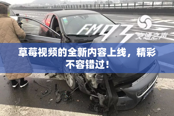 草莓视频的全新内容上线，精彩不容错过！