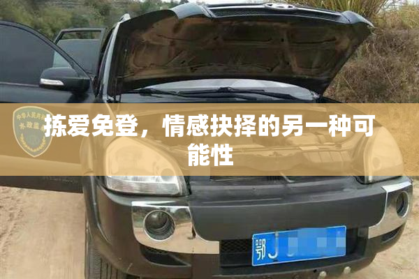 拣爱免登，情感抉择的另一种可能性